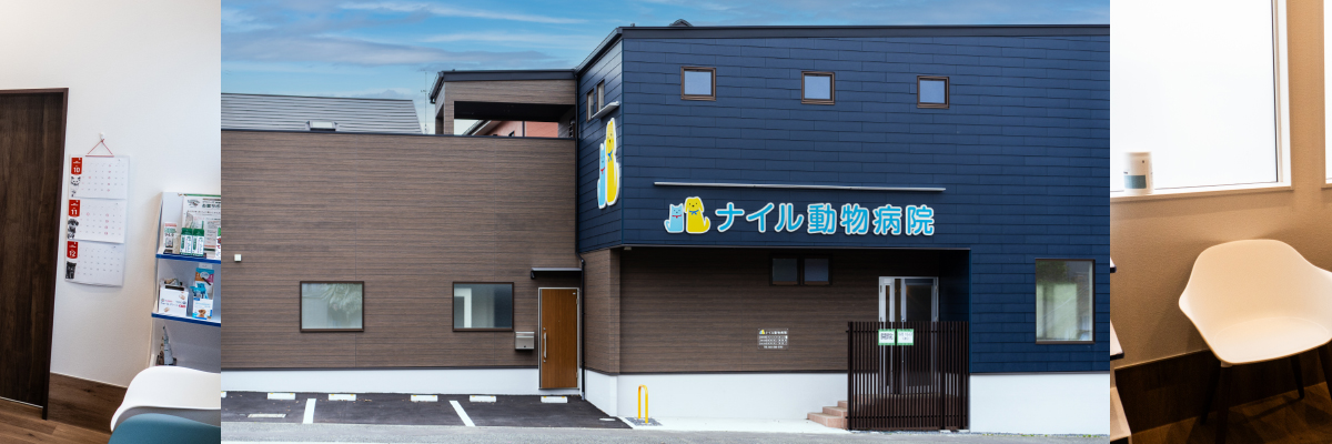 ナイル動物病院正面