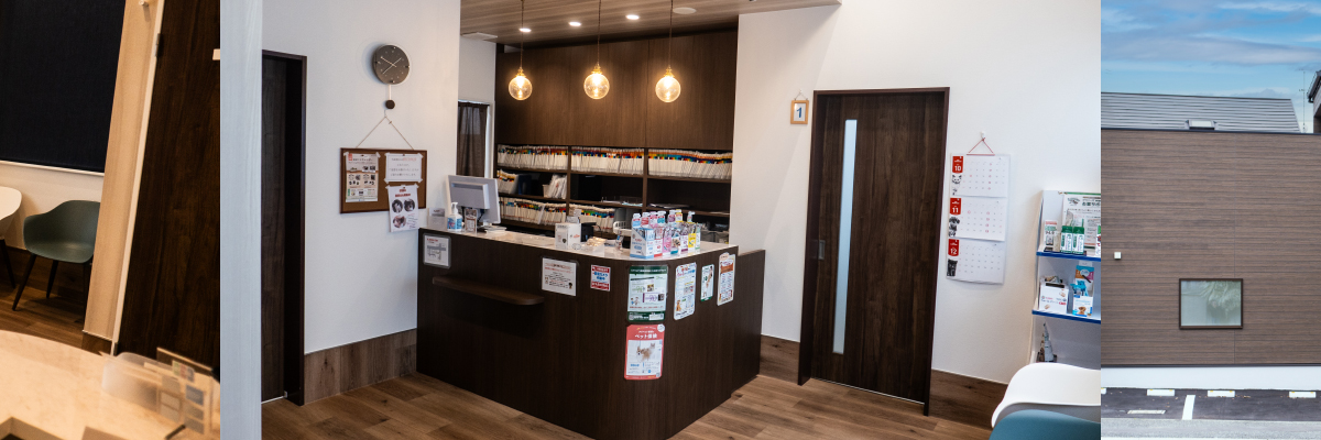 ナイル動物病院受付